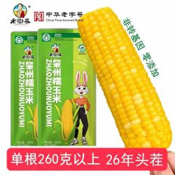 老街基25年新黄糯玉米棒260g8根东北玉米甜真空装速食黏苞米 18.00元 - 线报酷 老街基25年新黄糯玉米棒260g8根东北玉米甜真空装速食黏苞米 18.00元 - 线报酷