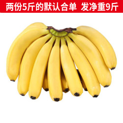 静益乐源新鲜云南大香蕉5斤下单两份 15.8元 - 86线报