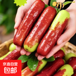 新品贵族水果长枣树苗手指枣树苗适合南北方种植盆栽庭院地栽 6年苗（结果苗） 28.36元 - 86线报