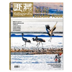 西藏旅游杂志2026年6月一文一物话西藏以文读史以物鉴今 10.5元 - 线报酷