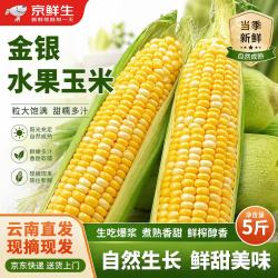 京鲜生鲜甜水果玉米云南新鲜水果玉米5斤 18.99元 - 86线报