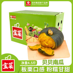 佳农香甜爆粉贝贝南瓜4-8头单果约300g以上栗贝南瓜*1 4.5斤 19.9元 - 86线报