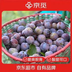 京觅四川红脆李脱骨李子4.5斤净重单果15g+脆红珍珠李水果源头直发 9.9元 - 86线报