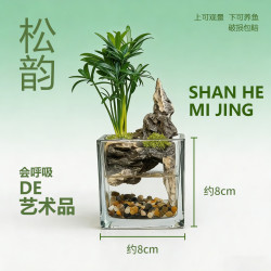 真植物山水一体微景观桌面观赏鱼缸办公室床头绿植摆件斗鱼孔雀鱼松韵方型缸 19.9元 - 86线报