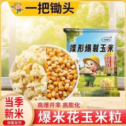 一把锄头球形爆裂玉米1斤+5斤 5.25元 - 线报酷