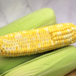 佳农宝菜云南新鲜金银水果玉米5-6根带绿皮玉米净重4.5斤 14.16元 - 线报酷