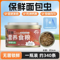 奈宠守宫挑食专用罐头保鲜杜比亚开口即食虫粮罐头角蛙豹纹蜥蜴专用粮 14.3元 - 86线报