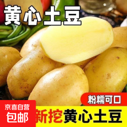 东东买菜新鲜山东黄心土豆农家自种黄皮马铃薯黄心洋芋新鲜蔬菜山东黄心土豆大果2斤含箱 3.89元 - 86线报