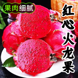 京世泽红心火龙果红肉蜜宝金都一号含箱5斤净重4.5斤装 13.9元 - 86线报