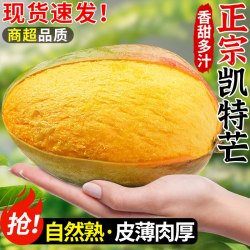 三萌果蔬凯特芒芒果当季现摘青皮芒果热带水果5斤精品果净重4.5斤 189元 - 86线报