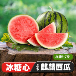 京觅河南沙地美都少籽头茬甜西瓜净重5-6斤1粒装 14.9元 - 美泡泡