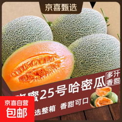 正宗哈密瓜晓蜜25号薄皮爆甜蜜瓜当季新鲜水果整箱大个甜瓜净重4.5-5斤（2-3个） 11.95元 - 86线报