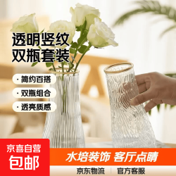 京喜玻璃花瓶透明植物插花瓶水培容器大花瓶装饰客厅摆件透明竖条纹17*5.5*8 1个装 1.01元 - 86线报