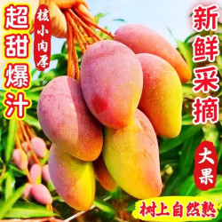海南贵妃芒4.5斤装新鲜芒果核小 6.96元 - 86线报