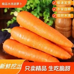 新鲜脆甜胡萝卜2斤 中大果 农家水果萝卜手抓饭伴侣蔬菜夏季减脂胡萝卜 0.98元 - 线报酷 新鲜脆甜胡萝卜2斤 中大果 农家水果萝卜手抓饭伴侣蔬菜夏季减脂胡萝卜 0.98元 - 线报酷