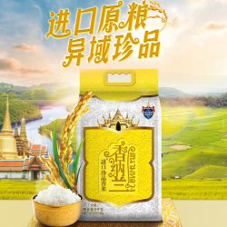 香纳兰进口珍品香米柬埔寨原粮进口大米5kg 20.91元 - 美泡泡