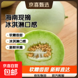 东东农场头茬玉菇甜瓜2-3斤 11.64元 - 美泡泡