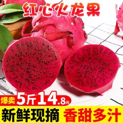 探味君海南红心火龙果5斤整箱 9.8元 - 86线报