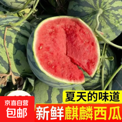 正宗安徽砀山无籽美都麒麟西瓜5-7斤/个 14.89元 - 86线报