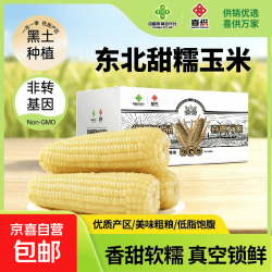 真空白糯玉米10根*250g 13.9元 - 86线报