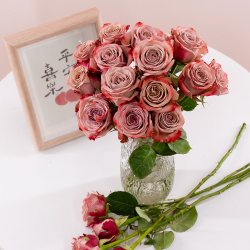 花恋谷卡布奇诺玫瑰鲜花云南基地直发鲜切花家用水养百合向日葵顺丰冷链 10.4元 - 折送网