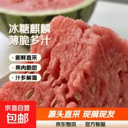 正宗冰糖麒麟西瓜源头直采超甜薄皮新鲜大西瓜 瓜越大越甜 6-7斤整颗(1-2人）