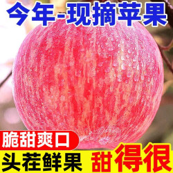 正宗陕西红富士苹果5斤 15.9元 - 86线报
