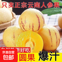 树熟花皮正宗云南石林人参果特大果单果100g+树熟花皮带箱5斤 9.9元 - 86线报