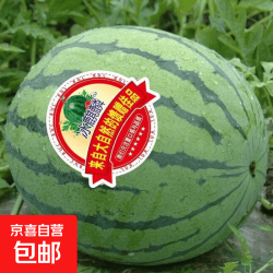 麒麟安徽砀山精品爆汁西瓜一个装5-7斤 13.51元 - 美泡泡 麒麟安徽砀山精品爆汁西瓜一个装5-7斤 13.51元 - 美泡泡