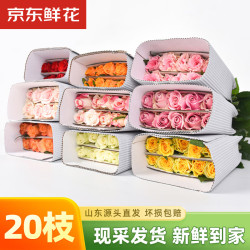 京东鲜花玫瑰花颜色20枝山东基地新鲜采摘家40cm长源头直发 16.9元 - 线报酷