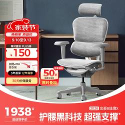 Ergonor 金豪B 代 人体工学电脑椅 银白色 美国网款 京东该商品正在促销 - 折送网