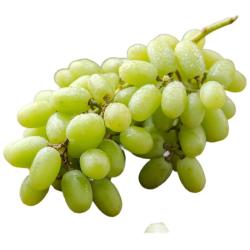 京鲜生新疆无核白葡萄净重3.5斤装 34元 - 86线报
