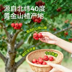 奶酪博士益生元山楂棒原味72g/9根 3.7元 - 86线报