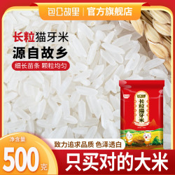 包公故里猫牙米丝苗米当季新米南方大米籼米500g装猫牙米500g*1袋 1.49元 - 86线报
