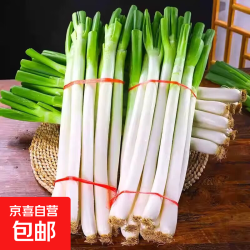 京喜山东大葱原汁原味正宗精品铁杆大葱农家现挖现发新鲜脆嫩带脏皮去半叶净重5斤装 8.9元 - 美泡泡