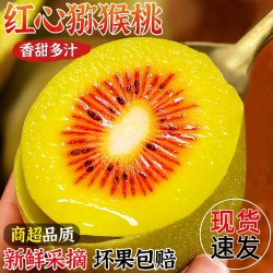 春福乐正宗红心猕猴桃四川奇异果应季时令新鲜水果10枚优选果 12.9元 - 86线报