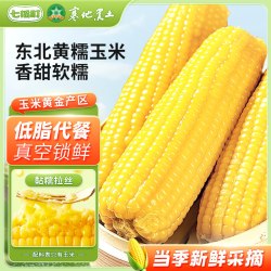 七稻町东北黄糯甜玉米真空装新鲜香甜糯玉米棒代餐大棒整支3支装 4.54元 - 86线报