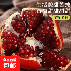 会理突尼斯软籽石榴五斤250g+包邮 12.88元 - 86线报
