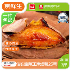 佳农宝菜山东烟薯25号软糯绵密小果单果50g+净重3斤蜜薯源头直发 8.9元 - 线报酷