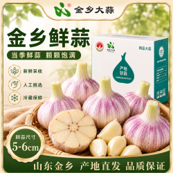 金乡大蒜紫皮大蒜头5-6cm2000g 14.8元 - 86线报