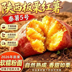 林大馋陕西正宗新鲜板栗红薯蜜薯地瓜5斤精选小果单果125g以下皮薄无丝秦薯5号秦岭产地直发 - 86线报