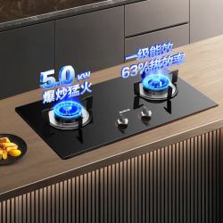 万和JZT-ML06X1系列5.0kW超密猛火嵌入式天然气双灶燃气灶 326.36元 - 86线报