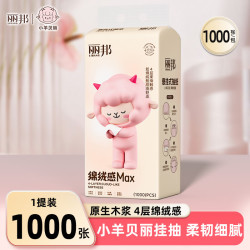 丽邦悬挂抽纸4层1000抽1包(170*120mm) 4.99元 - 美泡泡