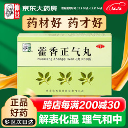 仲景 藿香正气丸6g*10袋 解表化湿药 - 86线报