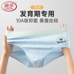 浪莎40支纯棉10A抗菌青少年男士三角内裤3条装 17.9元 - 线报酷