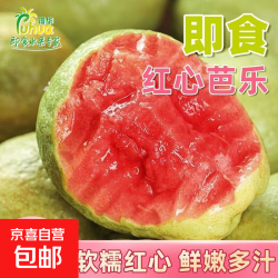 广东即食冰淇淋奶油芭乐双拼红心白心当季番石榴双拼红白芭乐3斤装 13.9元 - 86线报