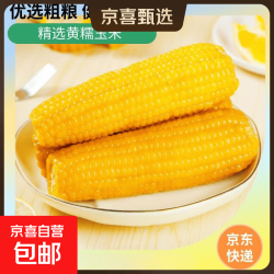 新鲜黄糯玉米真空包装200g/棒4棒 5.9元 - 线报酷