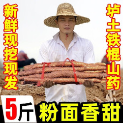 黄六爷正宗垆土铁棍山药3斤 17.8元 - 86线报