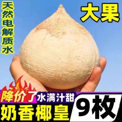 辉掌柜海南椰青500g*9个箱装 19.79元 - 86线报