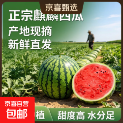 正宗新鲜美都麒麟西瓜甜美皮应季脆甜多汁源头直发新鲜现摘包邮7-8 16.9元/件 - 86线报